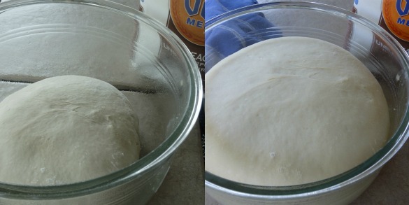 dough rising