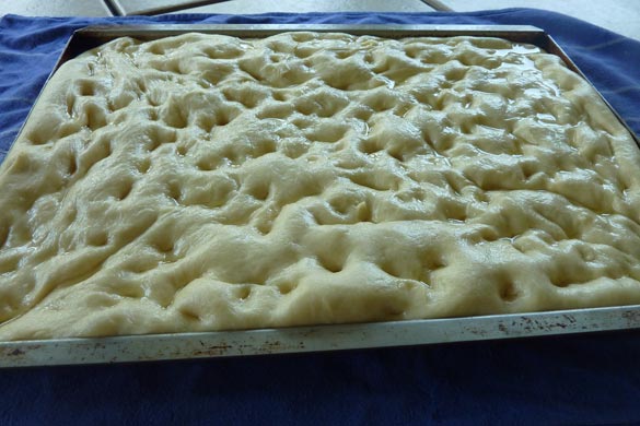 rising focaccia dough