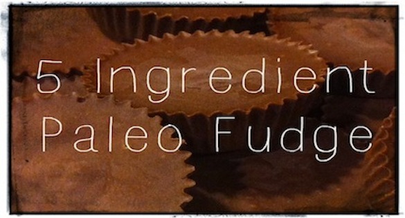 Paleo Fudge Featured Image