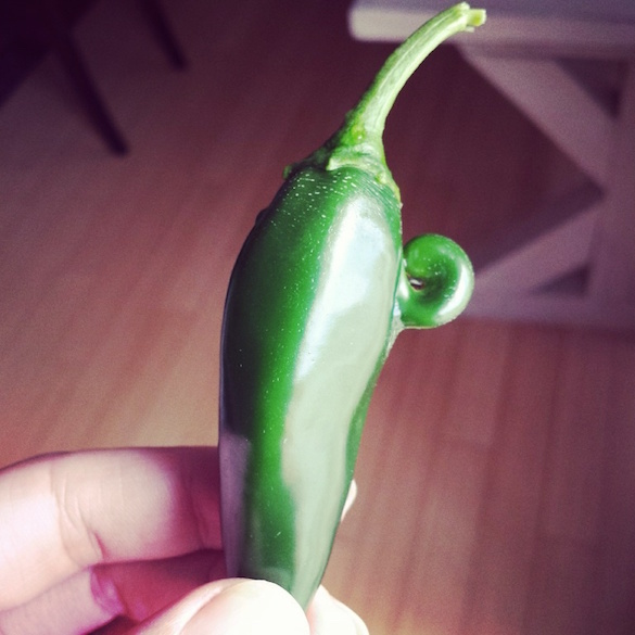 Even the jalapeños feel the need to show off their muscles.